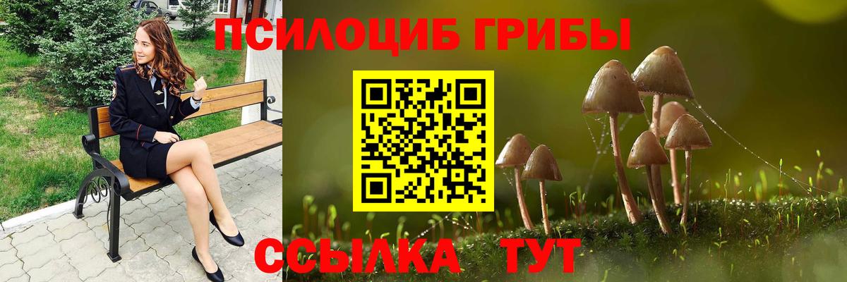 Галлюциногенные грибы GOLDEN TEACHER Дедовск